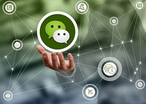 上海微信自动营销软件制造厂家 软件销售的全方位解析