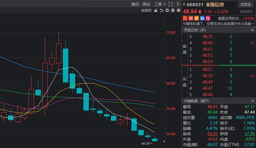 莱斯信息2024年上半年持续亏损，软件销售承压成主因